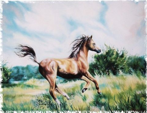 Cheval dans la nature